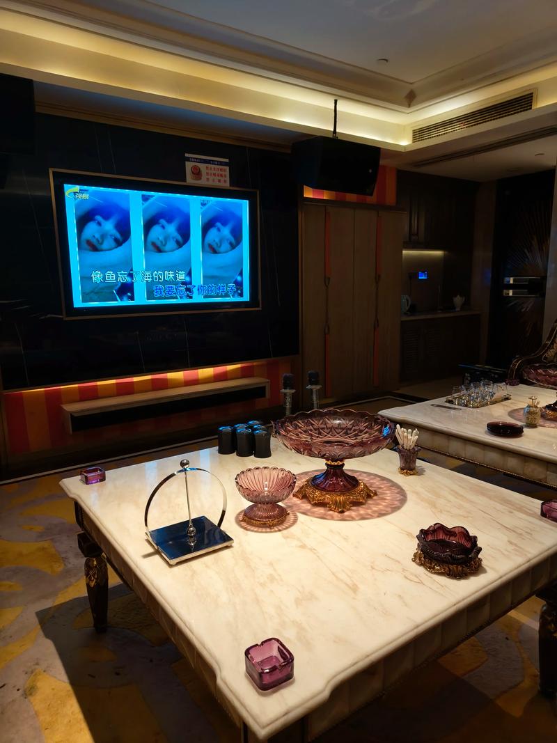 襄阳商务ktv低端场，商务尽享独特魅力-樊城区ktv预定